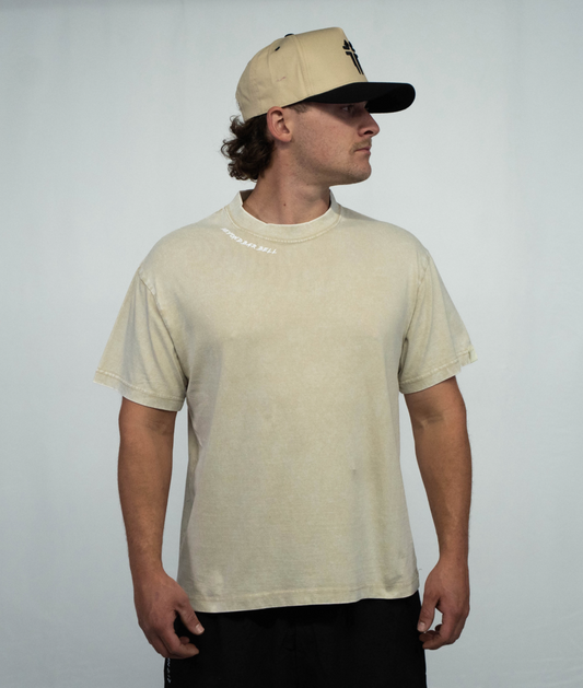 Foundation oversized lightweight tee